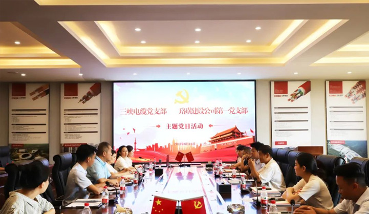 Jointly Hold Party Building Activities