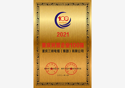 2021 Chongqing Municipal Top 100 Private Enterprise